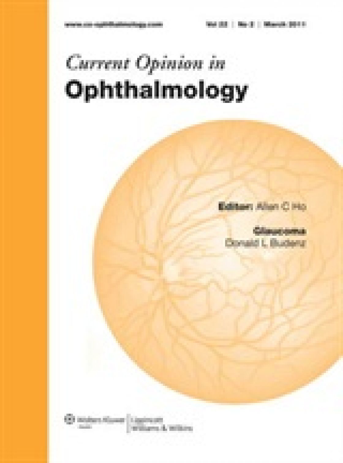 Spectral-domain optical coherence tomography for the diagnosis and follow-up of glaucoma