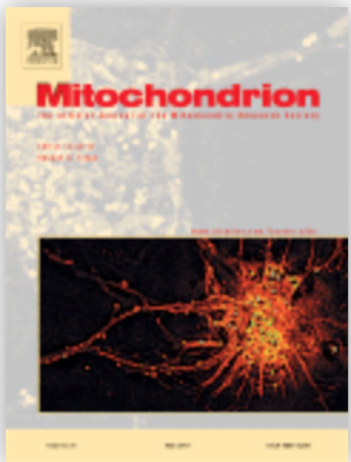 Measurement of central corneal thickness with optical low-coherence reflectometry and ultrasound pachymetry in normal and post-femtosecond laser in situ keratomileusis eyes